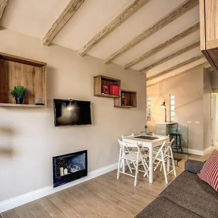 Apartment Attic With Terrace By Trevi Fountain